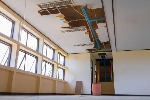 Best Fire Damage Restoration  in Lemont, PA