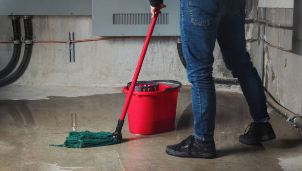 Best Flood damage cleanup  in Lemont, PA