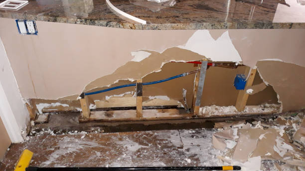 Best Basement water damage restoration  in Lemont, PA