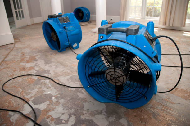 Best Carpet water damage restoration  in Lemont, PA
