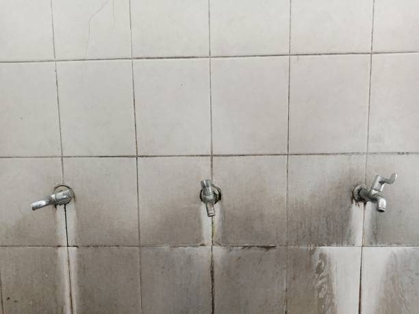 Best Mold removal after water damage  in Lemont, PA