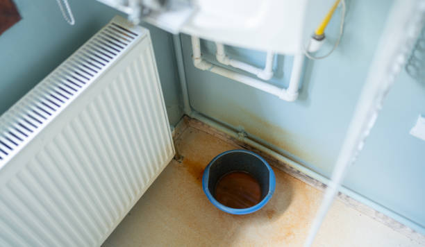 Trusted Lemont, PA Water damage restoration Experts