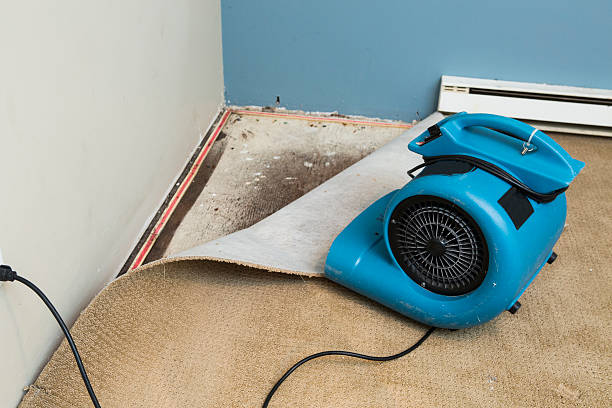 Best Flood restoration services  in Lemont, PA